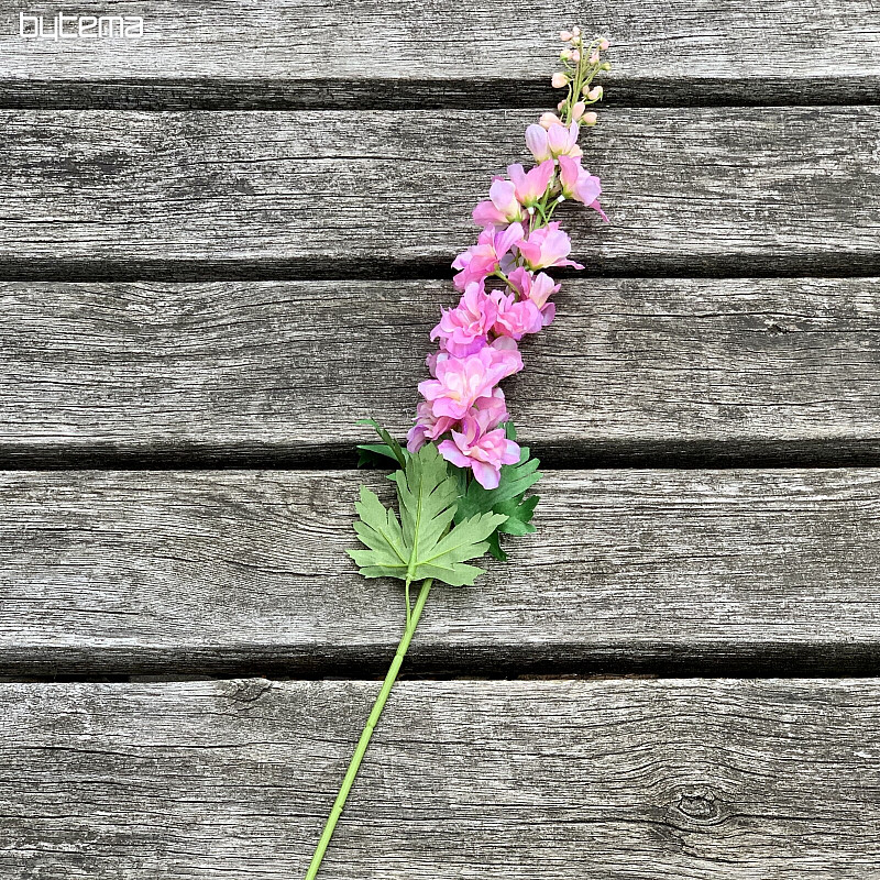 Delphinium růžové 79 cm